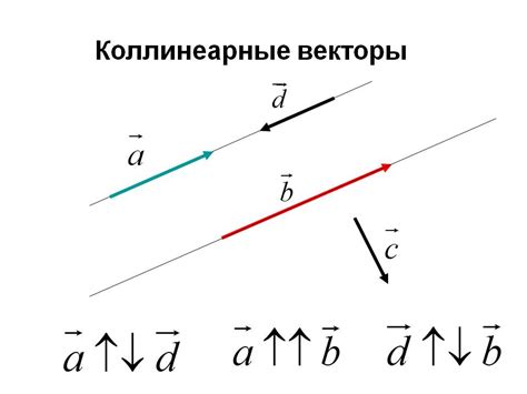 Примеры противоположно направленных векторов