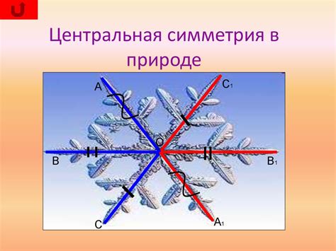 Примеры симметрии в ежедневной жизни