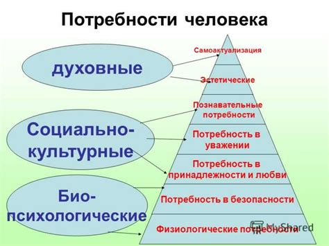 Примеры социальных потребностей