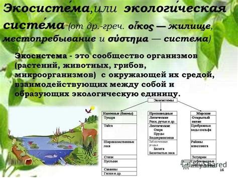 Примеры экосистем, природно обусловленных взаимодействием видов