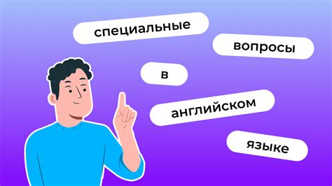 Примеры special questions в различных областях