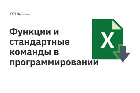 Пример использования функции в программировании