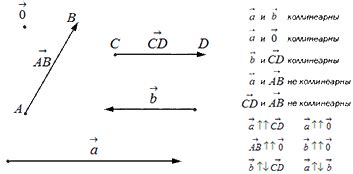 Пример противоположно направленных векторов в математике