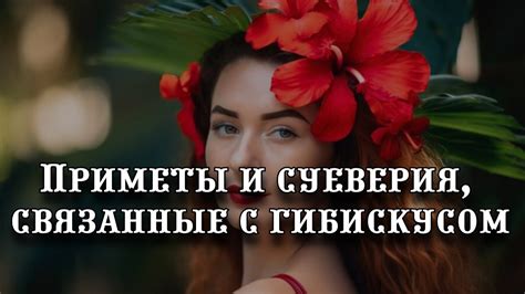 Приметы и суеверия связанные с мистическим сновидением