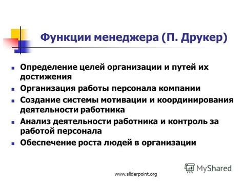 Принципы координирования деятельности