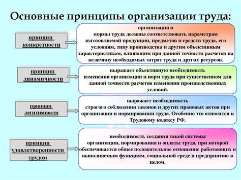 Принципы организации труда