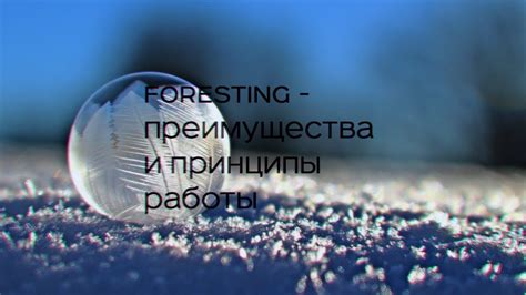 Принципы работы и преимущества слабоположительных Срб