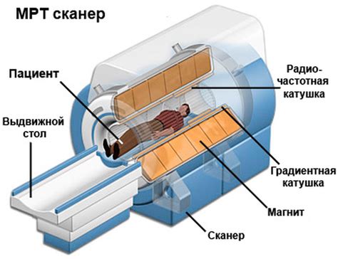 Принцип работы МРТ