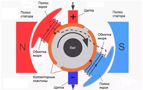 Принцип работы нейрографии