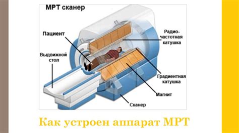 Принцип работы пэт кт