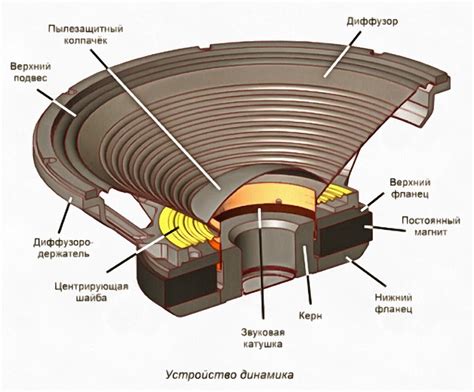 Принцип работы среднечастотного динамика