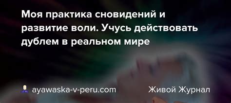 Принятие утраты: рост в мире сновидений от печали к расставанию