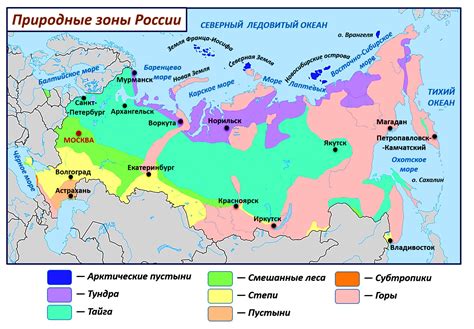 Природные зоны России: разнообразие и уникальность