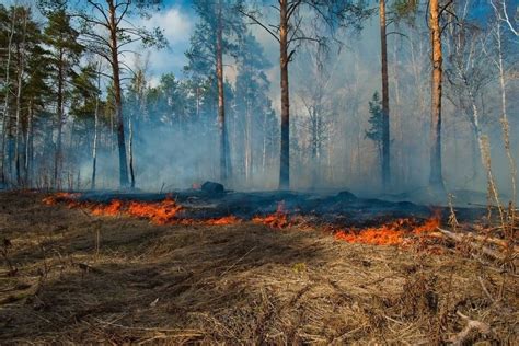 Природные катаклизмы: пожары, вулканы и огнища