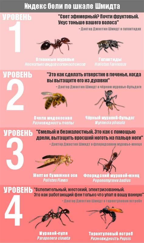 Причина атаки насекомых с жалом