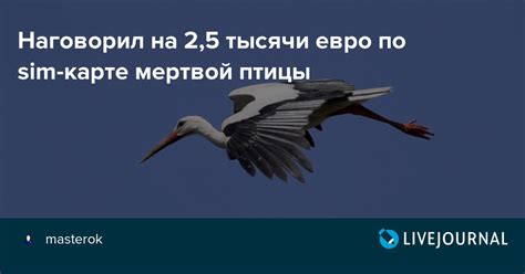 Причины, по которым нахождение мертвой птицы в доме несет плохие предзнаменования