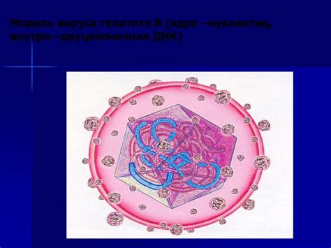 Причины возникновения гепатита В без дельта агента