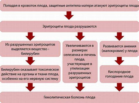 Причины возникновения резус-конфликта