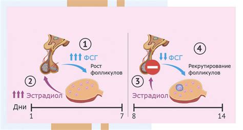 Причины возникновения репродуктивного вреда