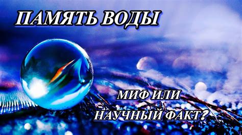 Причины горения водки: научный факт или миф?