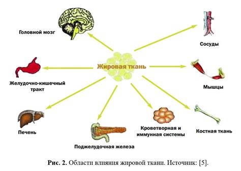 Причины избытка лептина