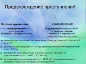 Причины и мотивации лиц, совершающих преступления двойной превенции