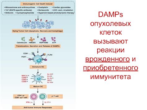 Причины и последствия негативной реакции опухолевых клеток