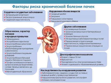 Причины и факторы риска опущения почек