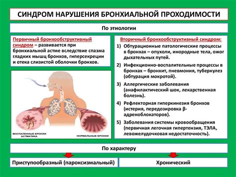 Причины нарушения бронхиальной проходимости