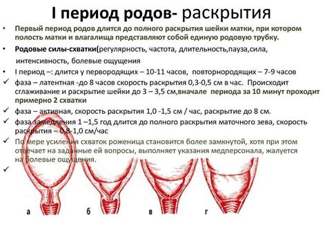 Причины незрелой матки при родах