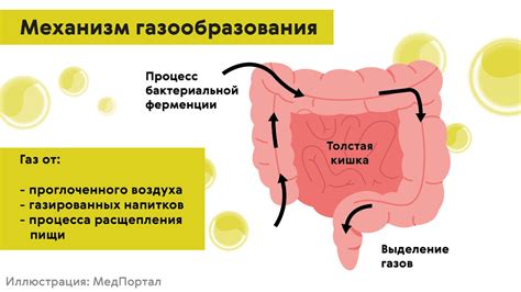 Причины неисправности кишечника