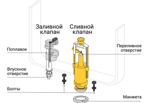 Причины неприятной ситуации - неплотно закрывающийся клапан унитаза, которого обычно не видно глазом.