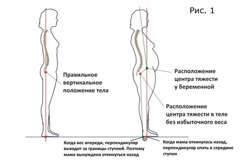 Причины низкого центра тяжести человека