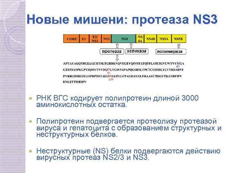 Причины отсутствия обнаружения РНК ВГС