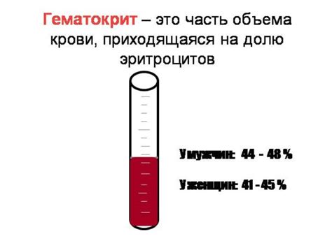 Причины пониженного гематокрита