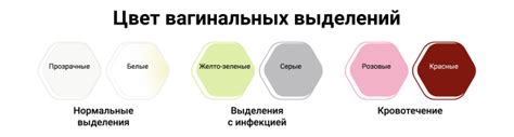 Причины появления мазков и вагинальных выделений у девушек