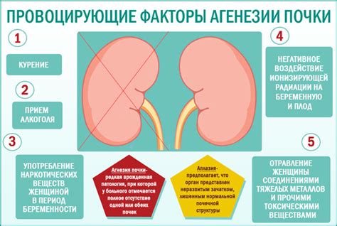 Причины развития метаболической почки