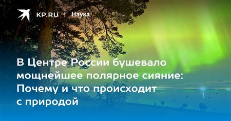 Причины унесенных природой: почему это происходит?