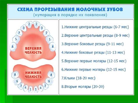 Причины чесания губ и советы по устранению дискомфорта