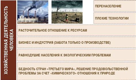 Причины экологического кризиса и почему они носят системный характер