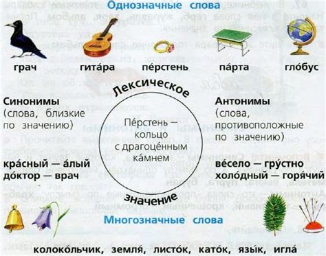 Проамериканский: его значение