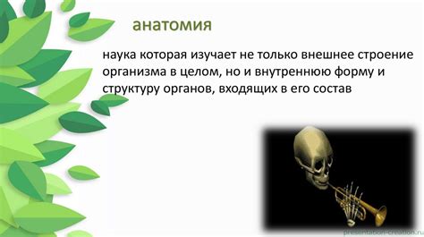 Проблема "шасси обжато" и ее последствия