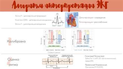 Проблемы интерпретации нетипичной ЭКГ