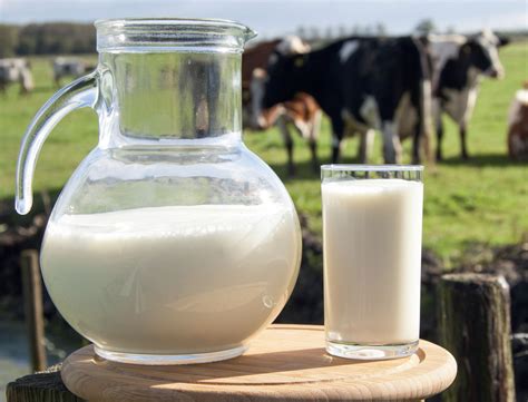 Проблемы с отсутствием прилива молока: причины и решения