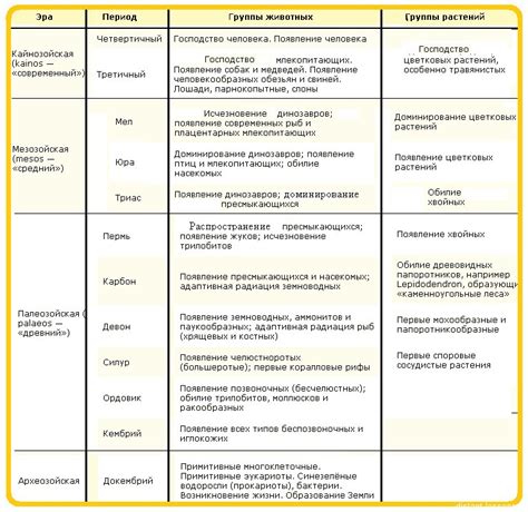 Прогестагенное действие: основные характеристики