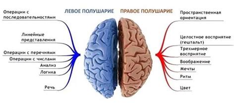 Прогноз и последствия