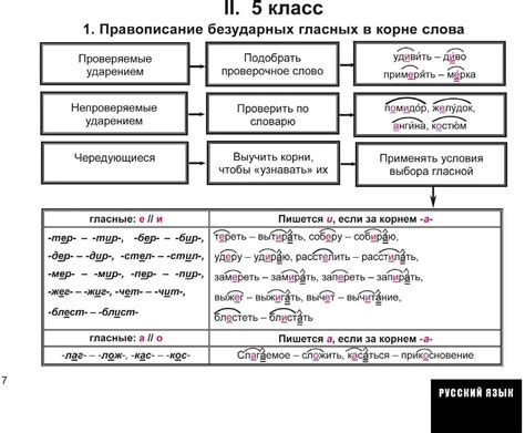 Программы для подчеркивания орфограмм гласных