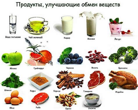 Продукты, способствующие улучшению обмена веществ