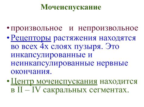 Произвольное мочеиспускание: что это такое и как разобраться?