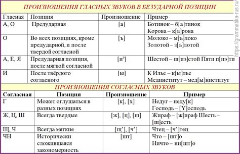 Произношение согласных звуков в разных позициях